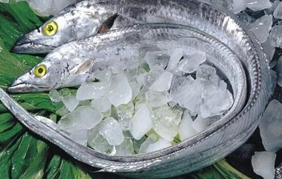 新鮮海產：冰凍帶魚