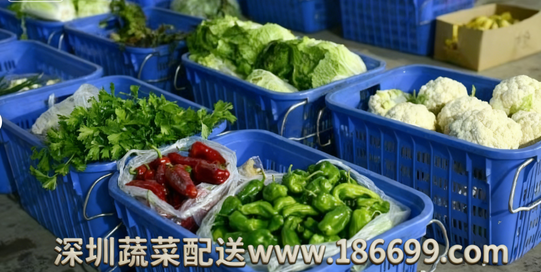 深圳食堂蔬菜配送為何選擇佳惠鮮蔬菜配送中心？