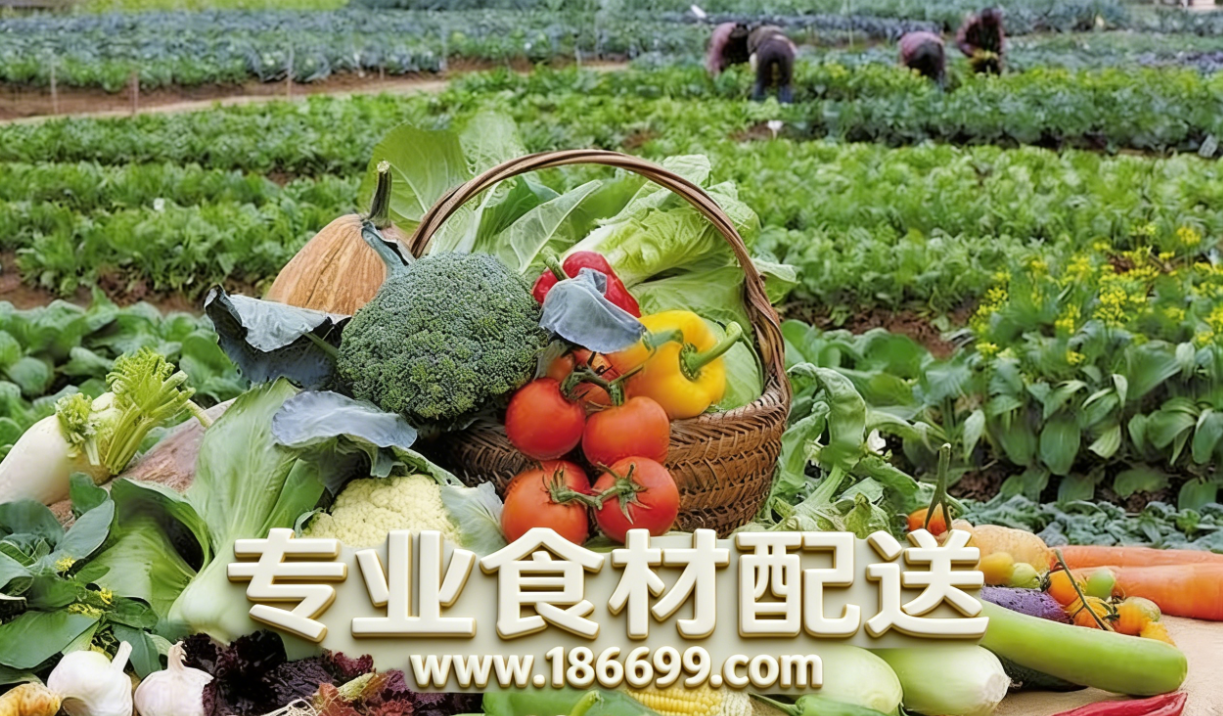 惠州食材供應鏈為您普及：冬季夏季的蔬菜營養(yǎng)有什么差別？