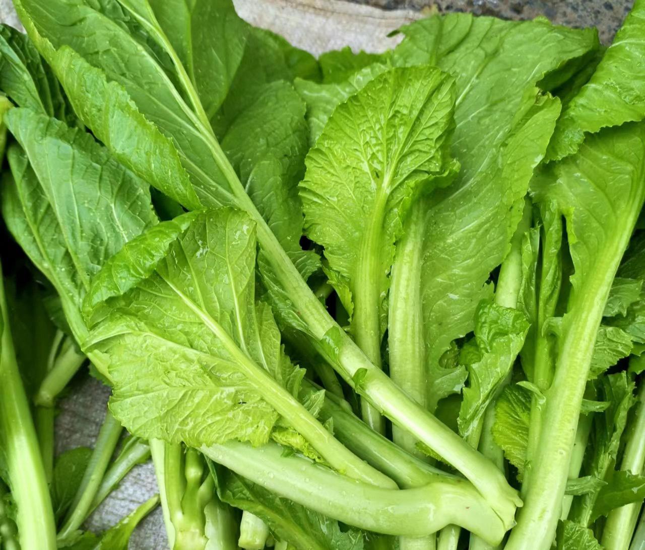 深圳蔬菜配送公司科普：為什么冷凍蔬菜不宜反復(fù)解凍冷凍？