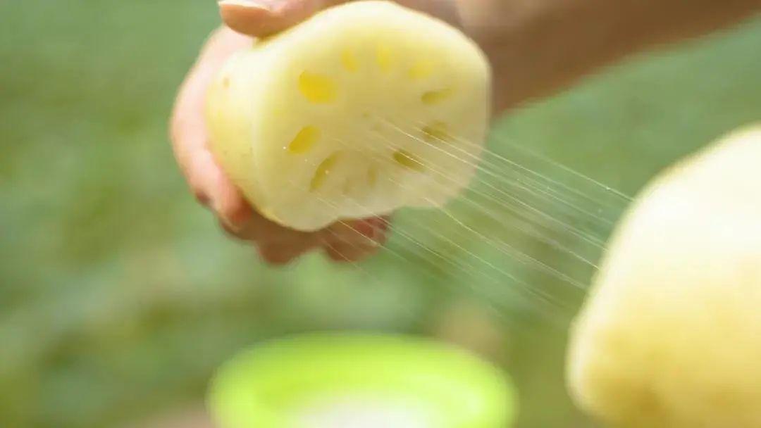 藕斷為什么會絲連呢，東莞食材生鮮配送中心與您談一談