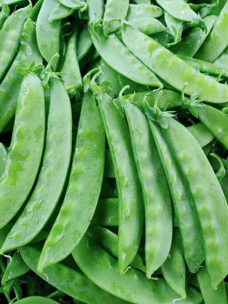 惠州生鮮蔬菜配送中心為您科普荷蘭豆的營(yíng)養(yǎng)價(jià)值